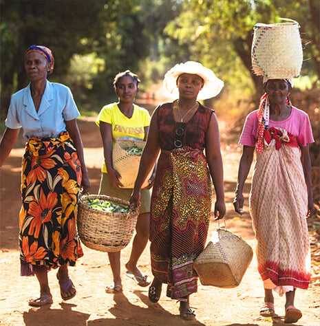 Fotografia de mulheres a transportarem sacos