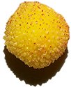 Medronho