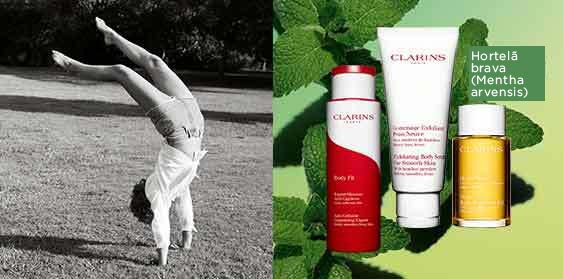 Clarins Duo